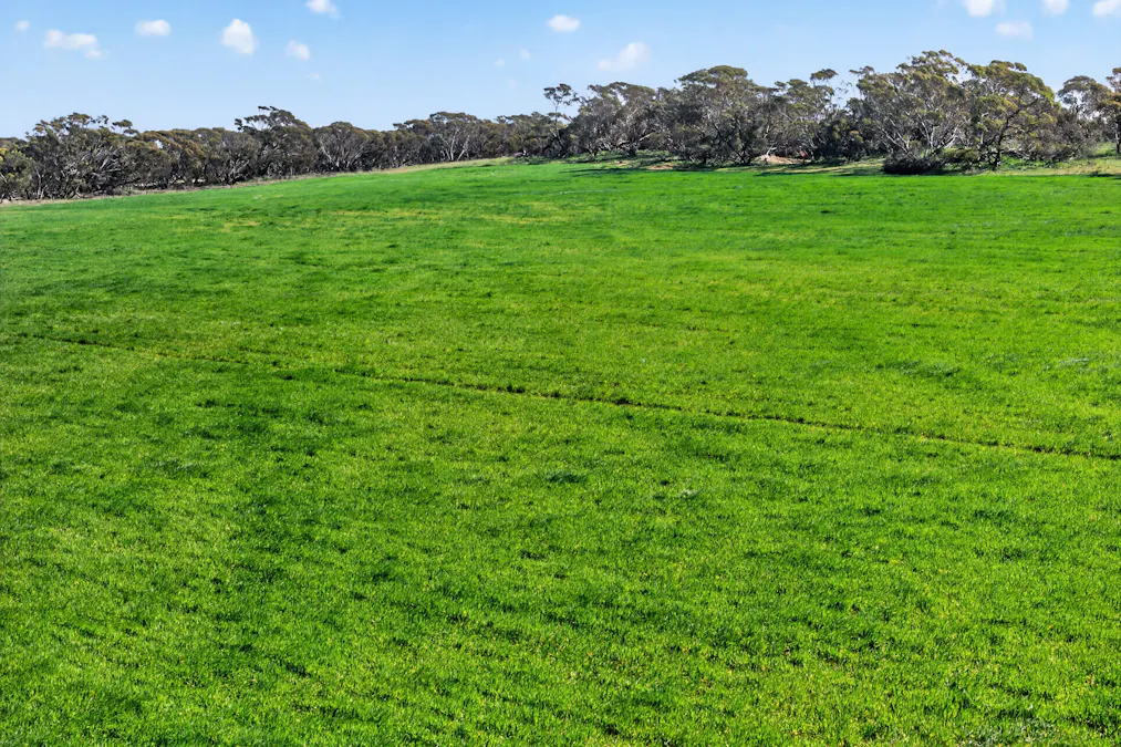 725 Nunkeri Road, Karoonda, SA, 5307 - Image 27