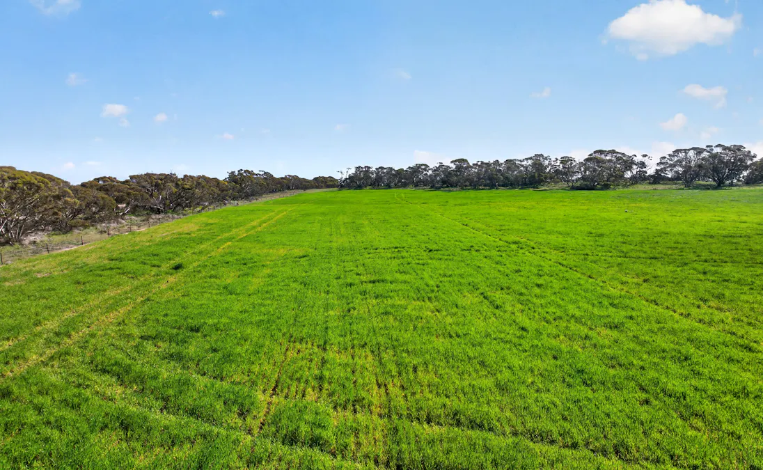 725 Nunkeri Road, Karoonda, SA, 5307 - Image 30