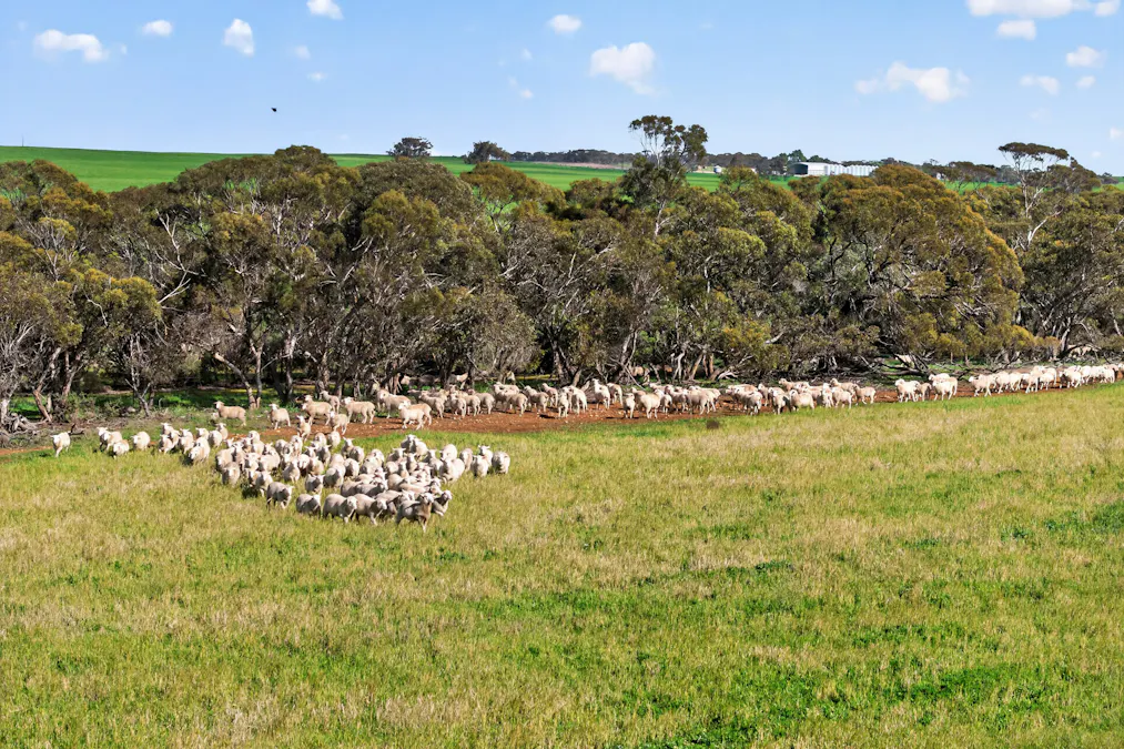725 Nunkeri Road, Karoonda, SA, 5307 - Image 31