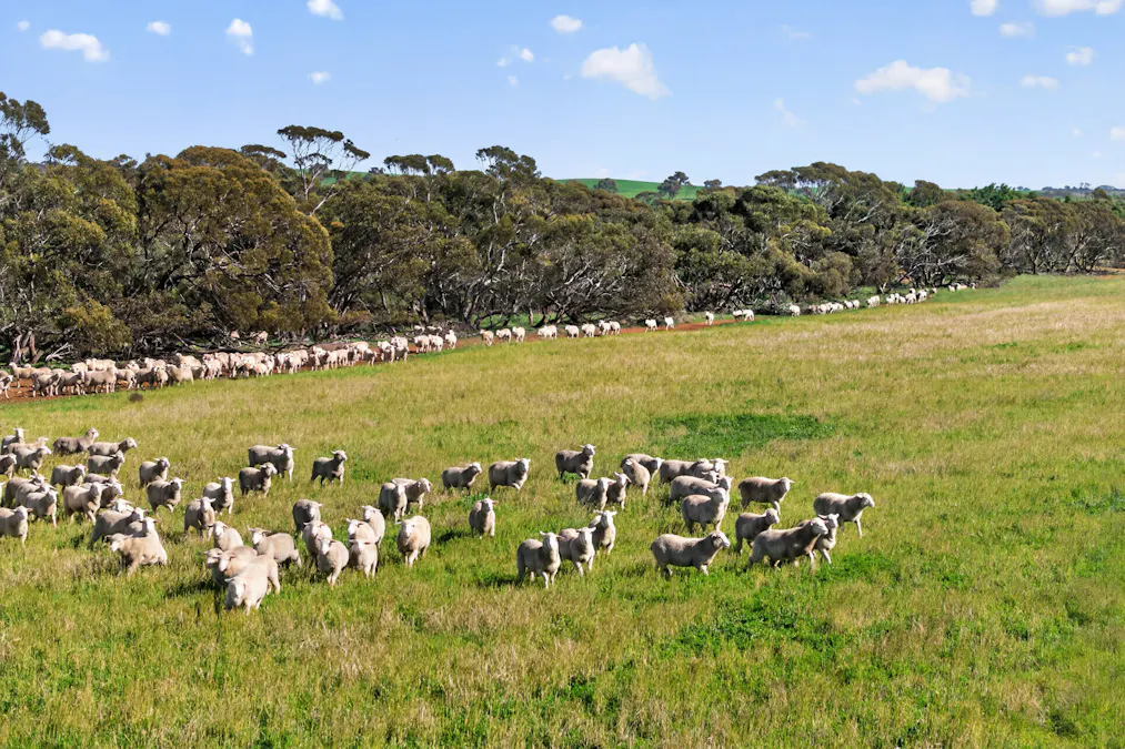 725 Nunkeri Road, Karoonda, SA, 5307 - Image 32
