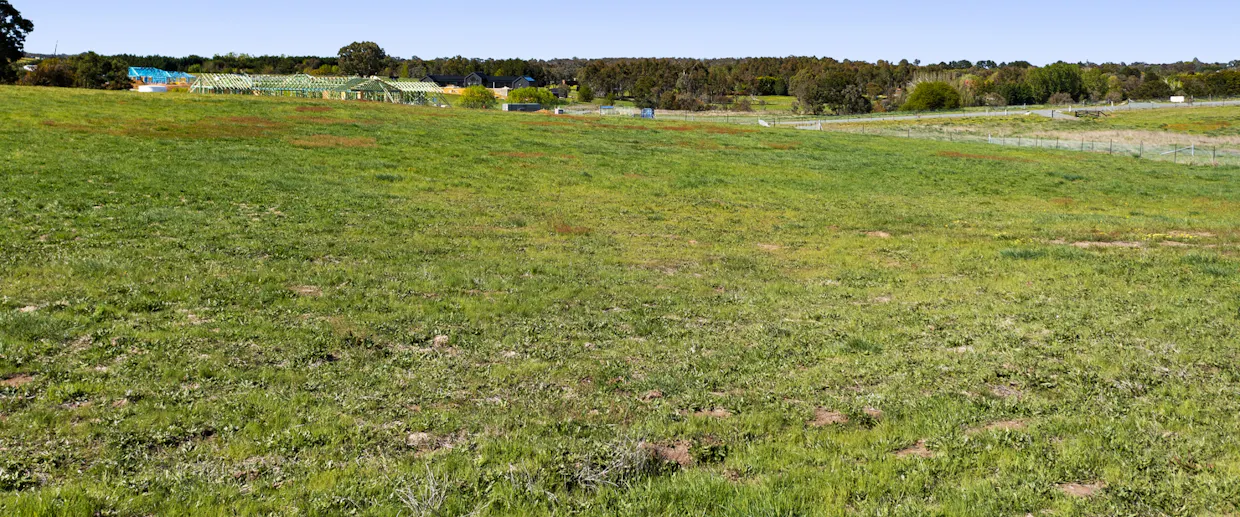 49 Malbec Drive, Murrumbateman, NSW, 2582 - Image 9