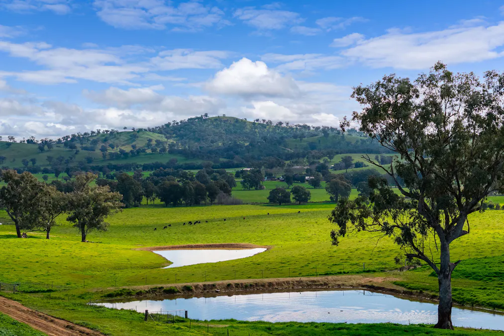 1315 Bungowannah Road, Bungowannah, NSW, 2640 - Image 3