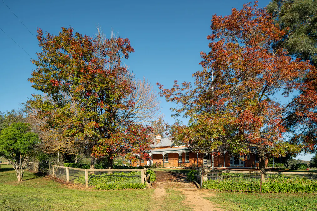 1315 Bungowannah Road, Bungowannah, NSW, 2640 - Image 5