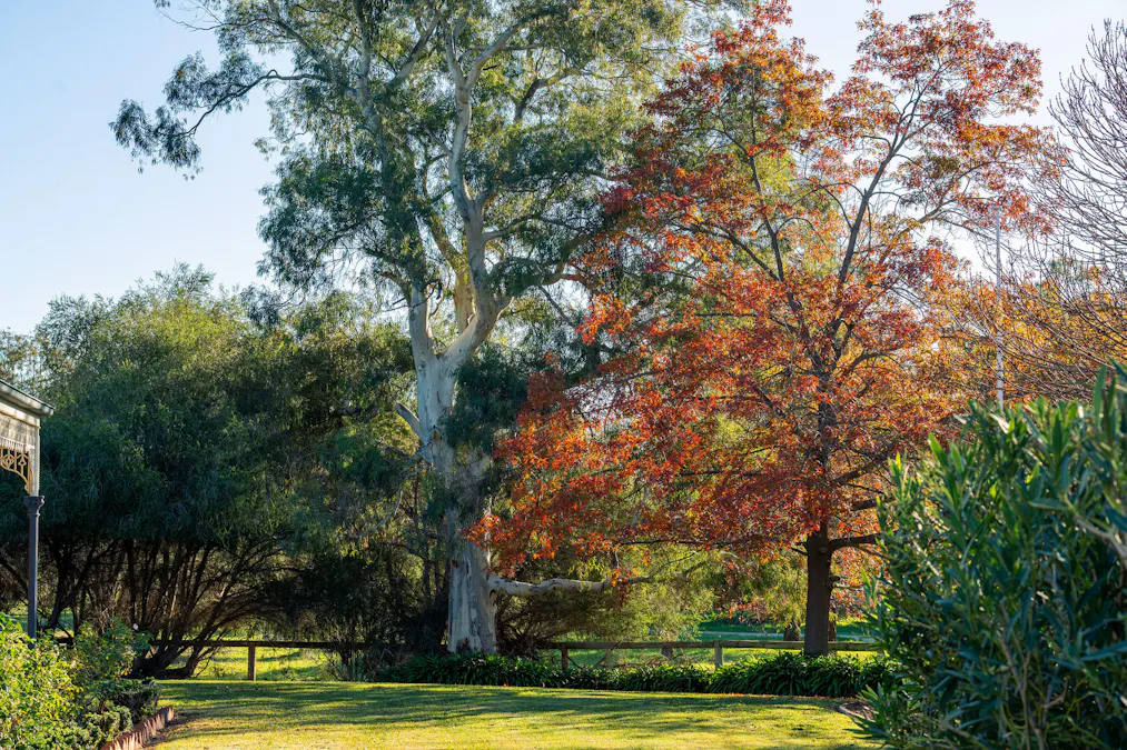1315 Bungowannah Road, Bungowannah, NSW, 2640 - Image 17