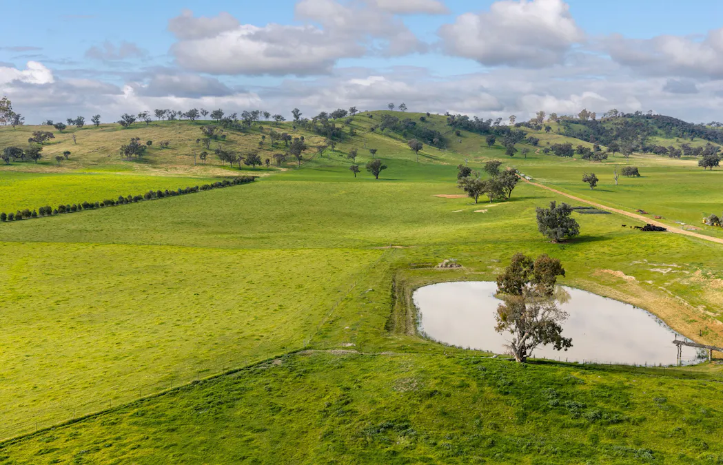1315 Bungowannah Road, Bungowannah, NSW, 2640 - Image 27