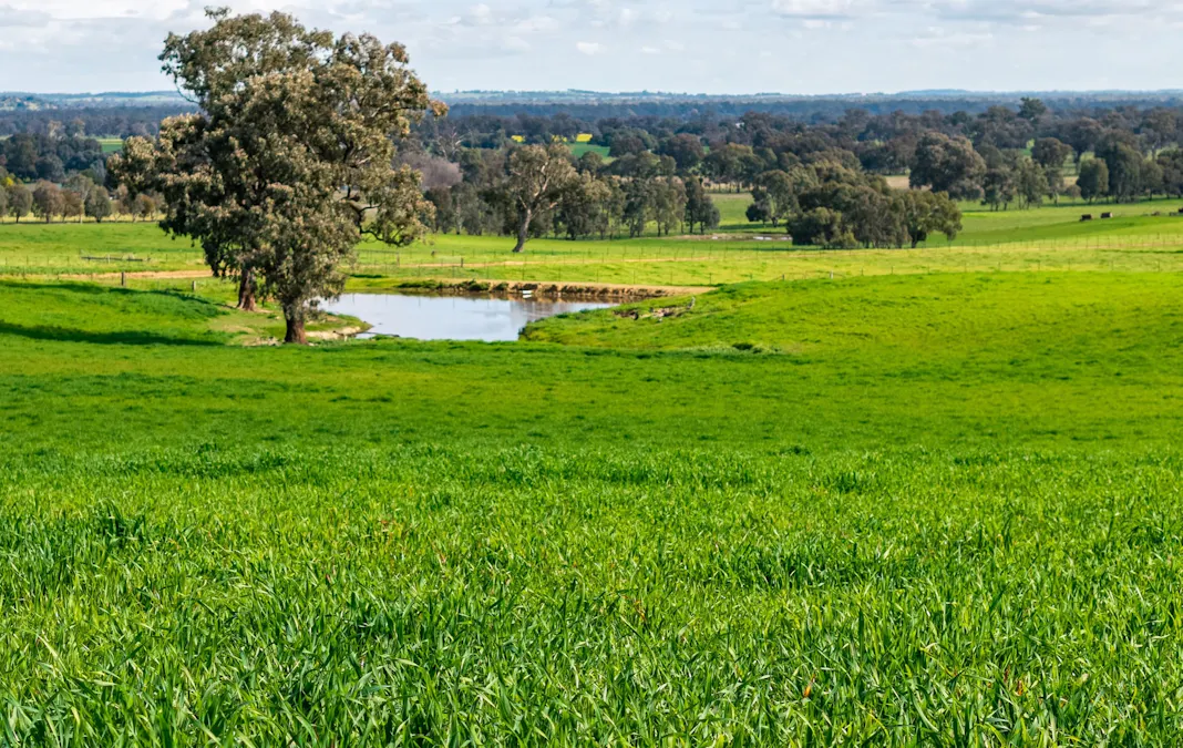 1315 Bungowannah Road, Bungowannah, NSW, 2640 - Image 24