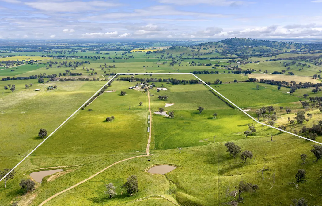 1315 Bungowannah Road, Bungowannah, NSW, 2640 - Image 2