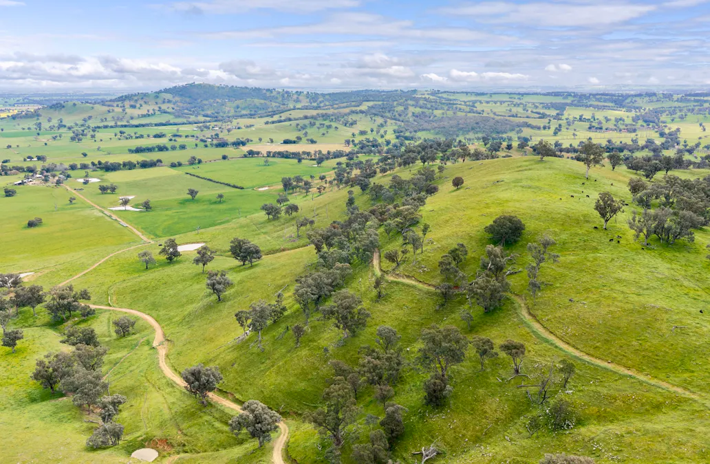 1315 Bungowannah Road, Bungowannah, NSW, 2640 - Image 25