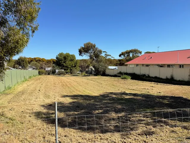 29 Hope Street — photo from Elders Real Estate WA Rural & Metro