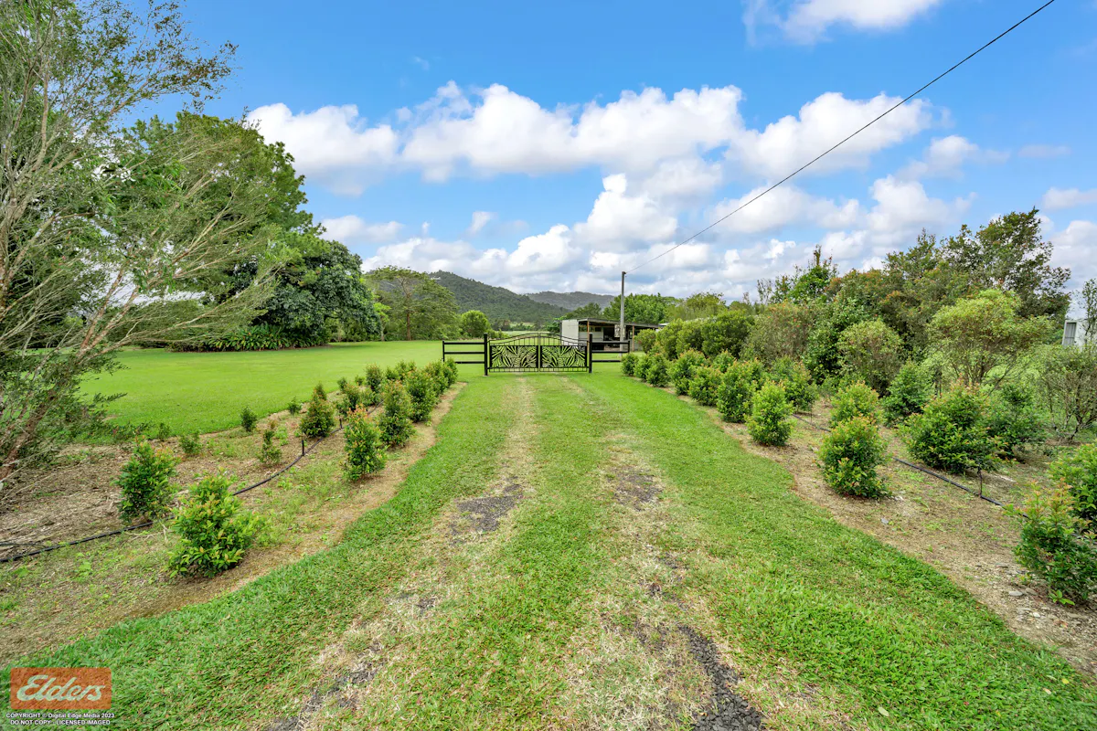 1 / 1034 Silkwood Japoon Road — photo 6 of 29