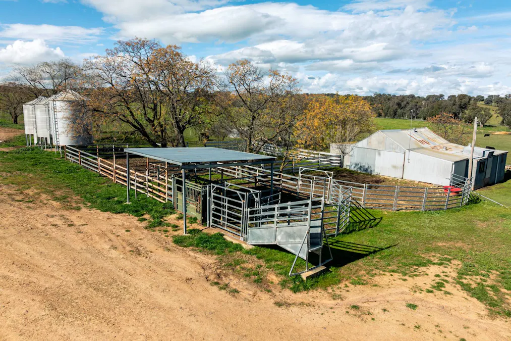 1067 Pulletop Road, Cookardinia, NSW, 2650 - Image 12