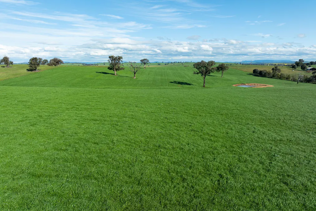 1067 Pulletop Road, Cookardinia, NSW, 2650 - Image 31