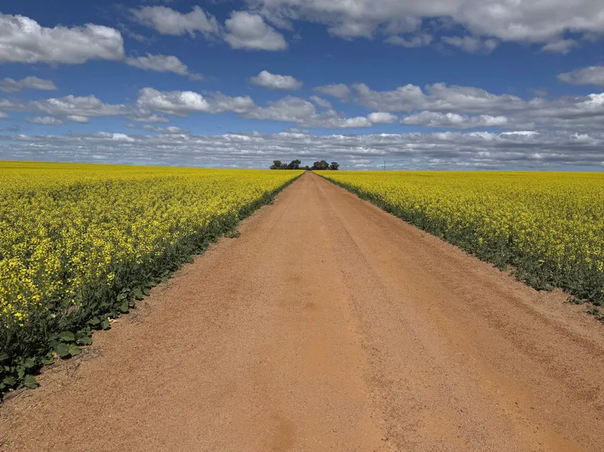 558 Skipper Road, Arrowsmith East, WA, 6519 - Image 4