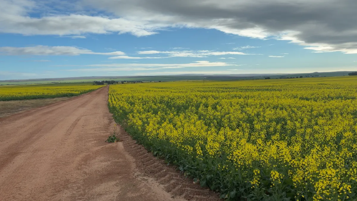 558 Skipper Road, Arrowsmith East, WA, 6519 - Image 15