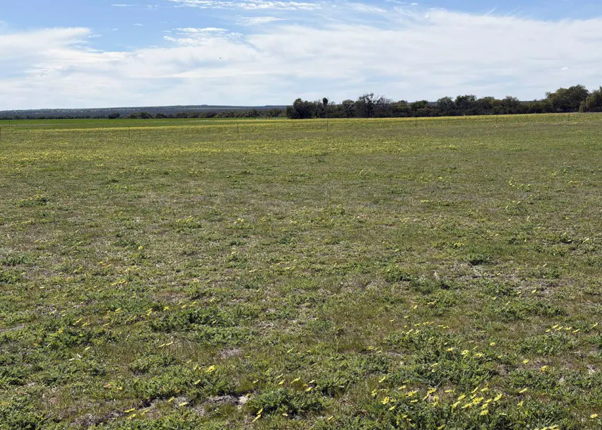 558 Skipper Road, Arrowsmith East, WA, 6519 - Image 22