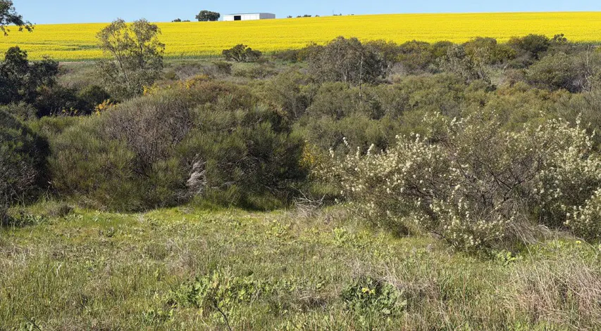 558 Skipper Road, Arrowsmith East, WA, 6519 - Image 25