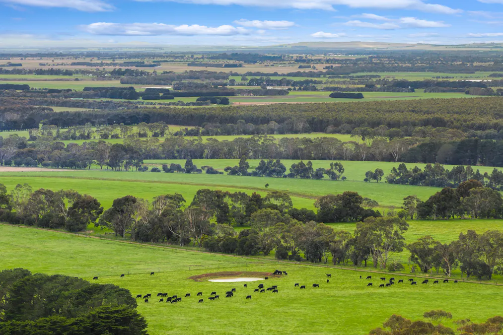 470 Rifle Butts Road, Birregurra, VIC, 3242 - Image 22