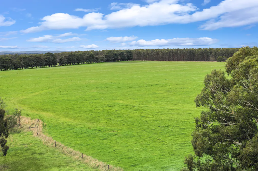 470 Rifle Butts Road, Birregurra, VIC, 3242 - Image 8