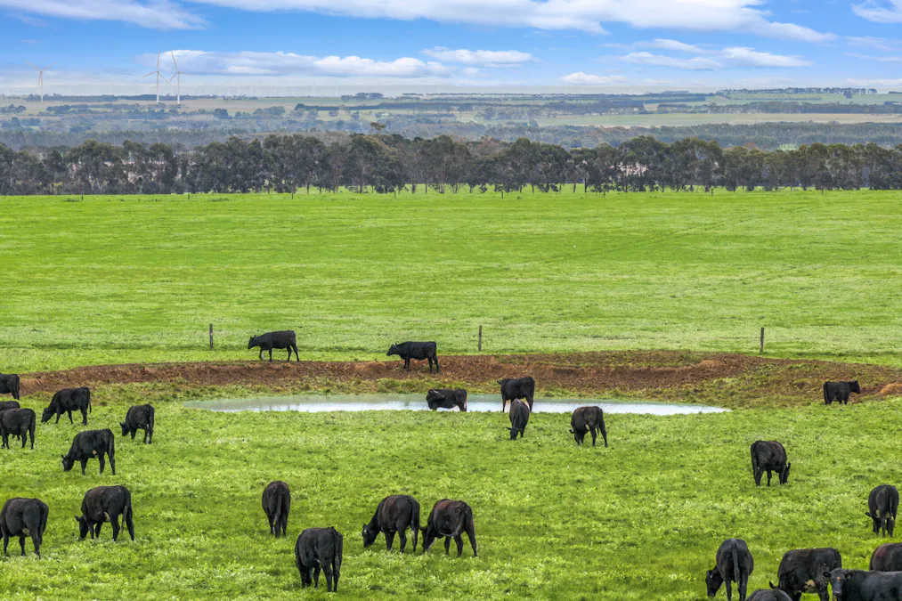 470 Rifle Butts Road, Birregurra, VIC, 3242 - Image 2