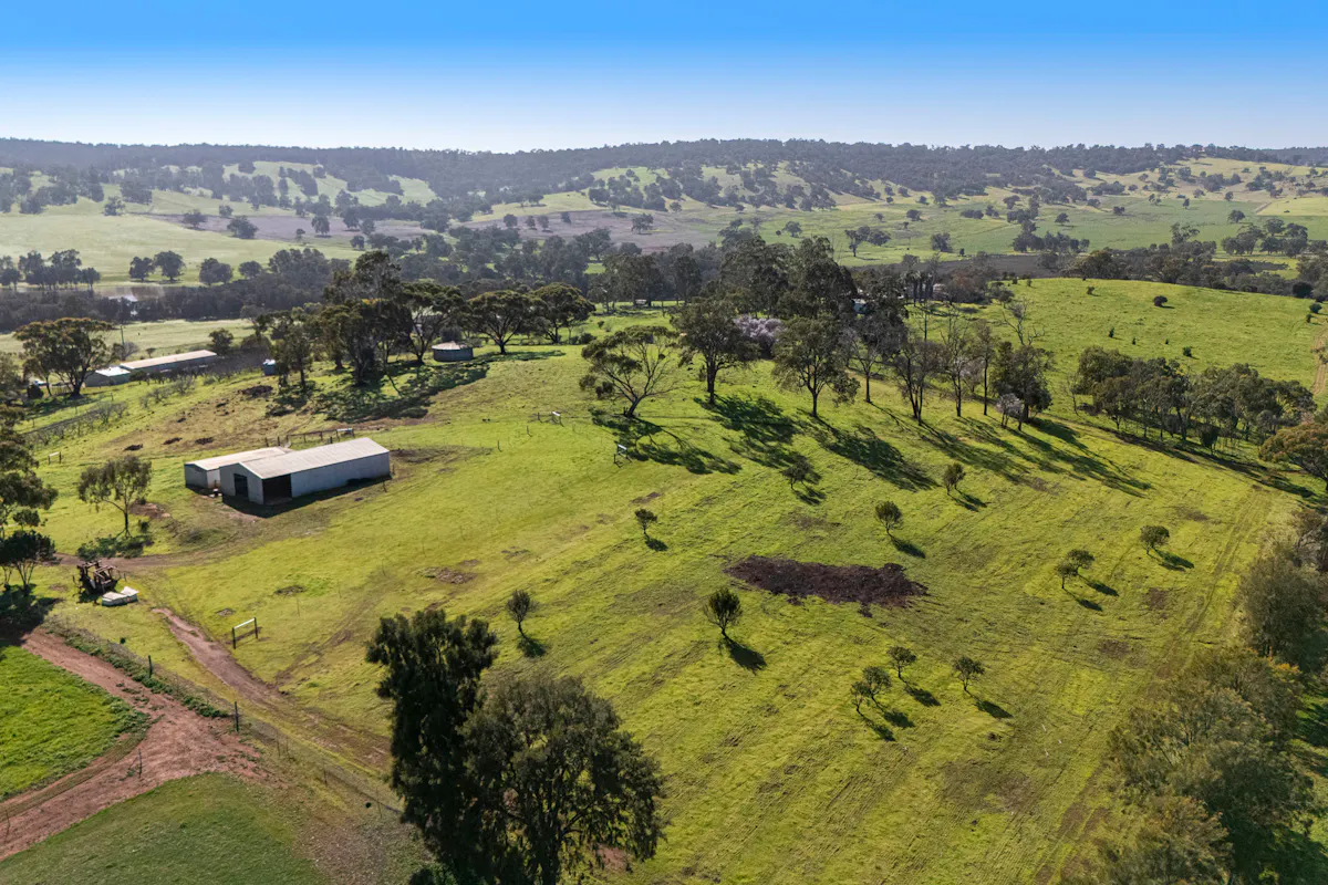 Lot 21/124 Toy Road — photo 4 of 30