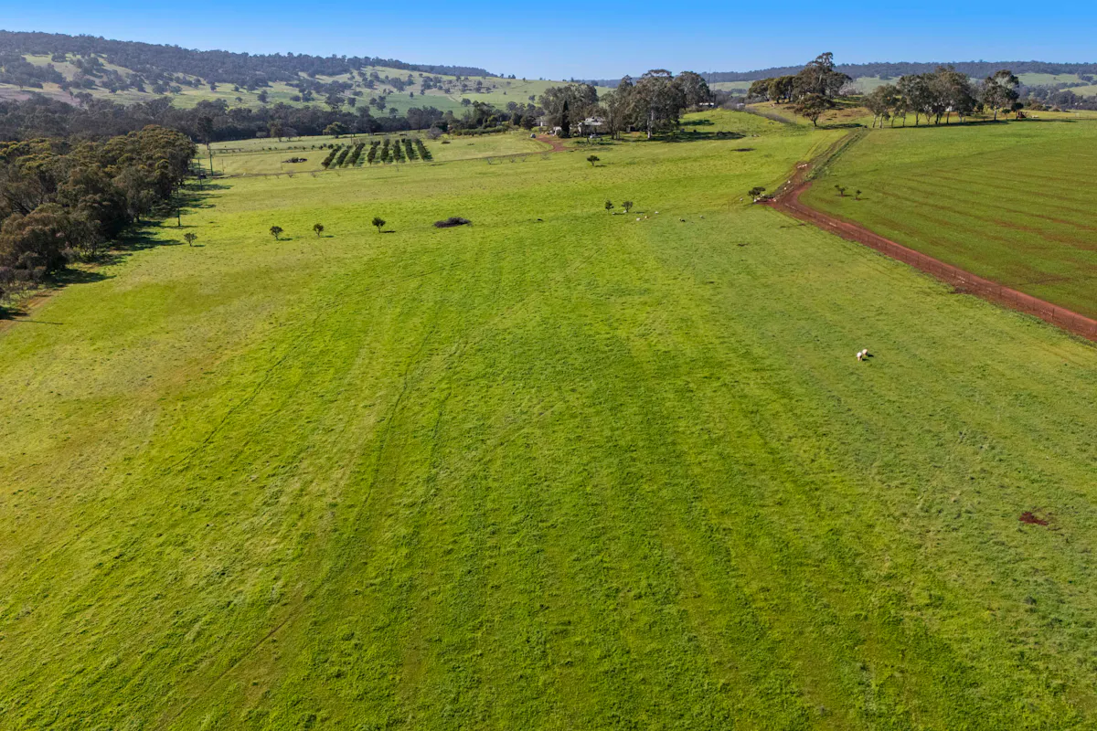 Lot 21/124 Toy Road — photo 13 of 30