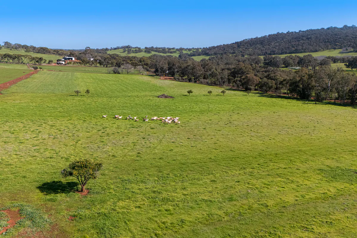 Lot 21/124 Toy Road — photo 14 of 30