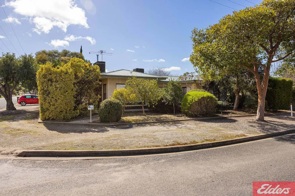 8 Queen Avenue, Nuriootpa, SA, 5355 - Image 3