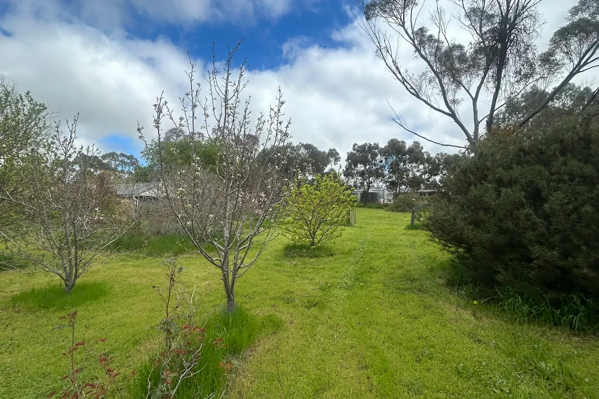 Commercial Road — photo 11 of 11