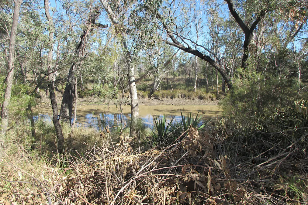 3770 Condamine - Meandarra Road, Meandarra, QLD, 4422 - Image 19