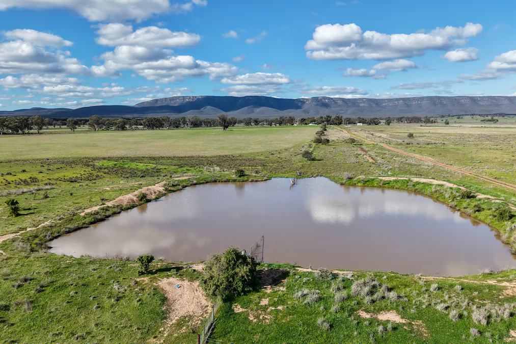 248 Houplines Road, Peak Hill, NSW, 2869 - Image 12