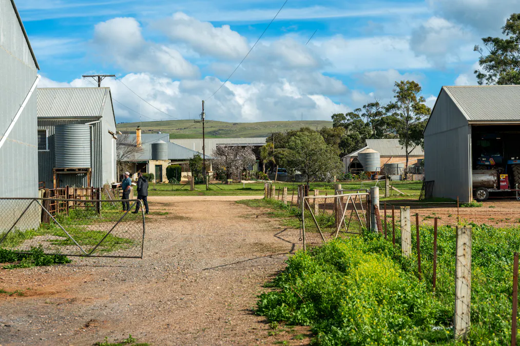 Forest Lane & Pumpas Hills , Sedan, SA, 5353 - Image 24
