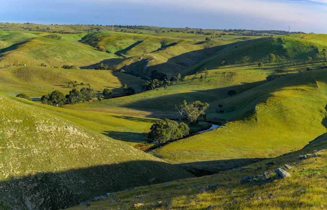 Forest Lane & Pumpas Hills , Sedan, SA, 5353 - Image 17