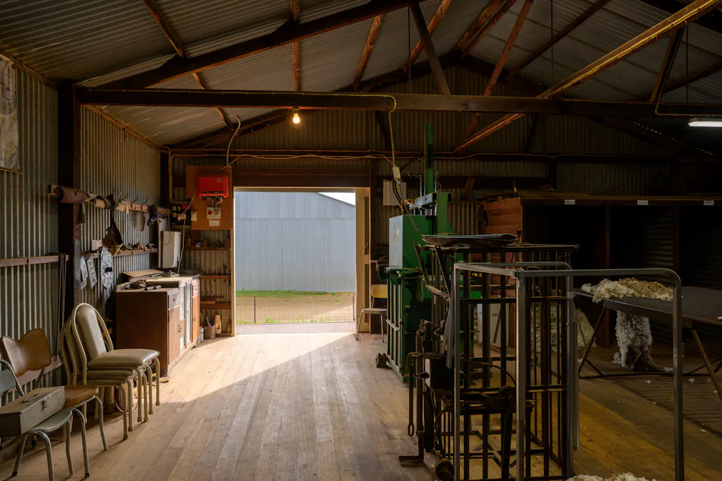 Forest Lane & Pumpas Hills , Sedan, SA, 5353 - Image 7