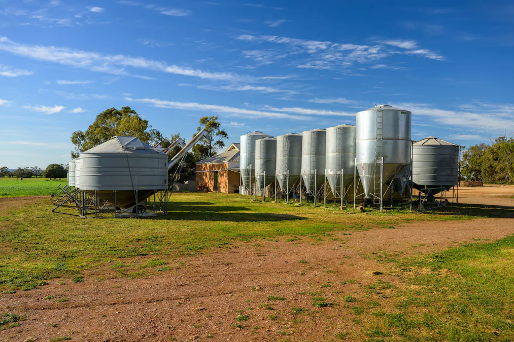 Forest Lane & Pumpas Hills , Sedan, SA, 5353 - Image 34