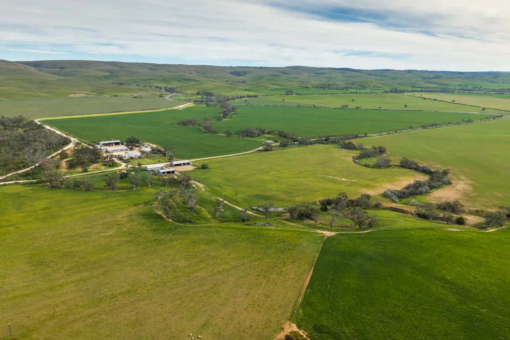 Forest Lane & Pumpas Hills , Sedan, SA, 5353 - Image 2
