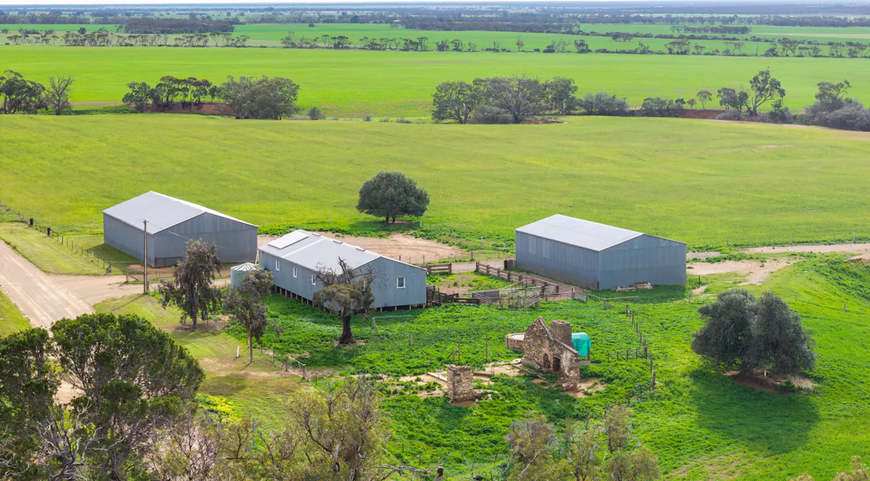 Forest Lane & Pumpas Hills , Sedan, SA, 5353 - Image 4