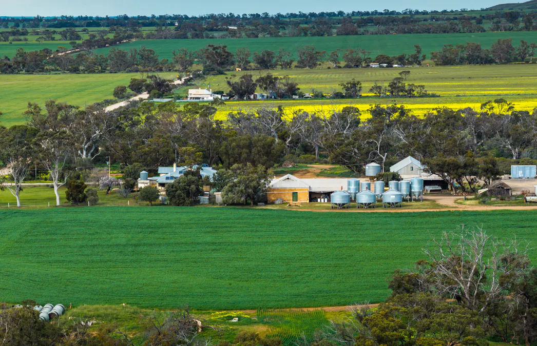 Forest Lane & Pumpas Hills , Sedan, SA, 5353 - Image 1