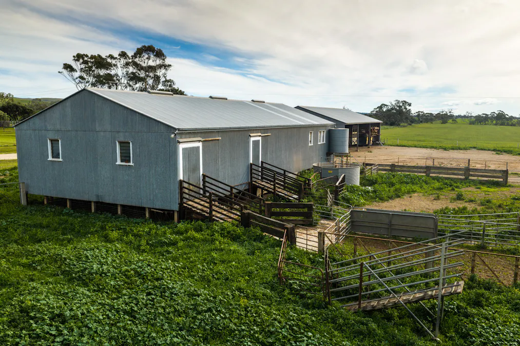 Forest Lane & Pumpas Hills , Sedan, SA, 5353 - Image 6