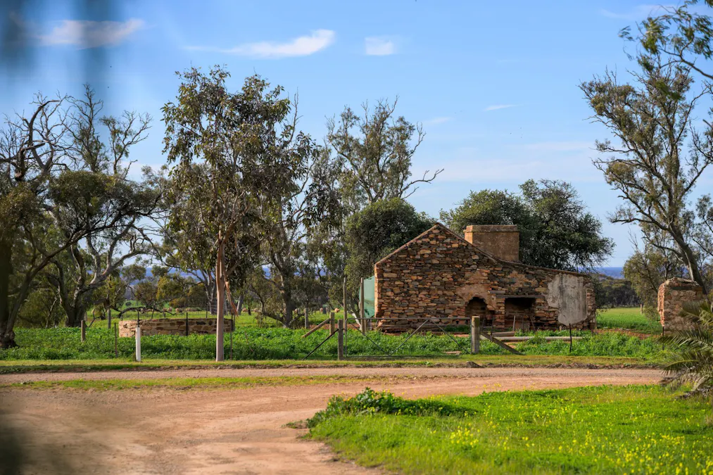 Forest Lane & Pumpas Hills , Sedan, SA, 5353 - Image 11