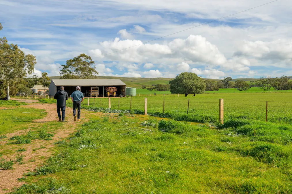 Forest Lane & Pumpas Hills , Sedan, SA, 5353 - Image 5