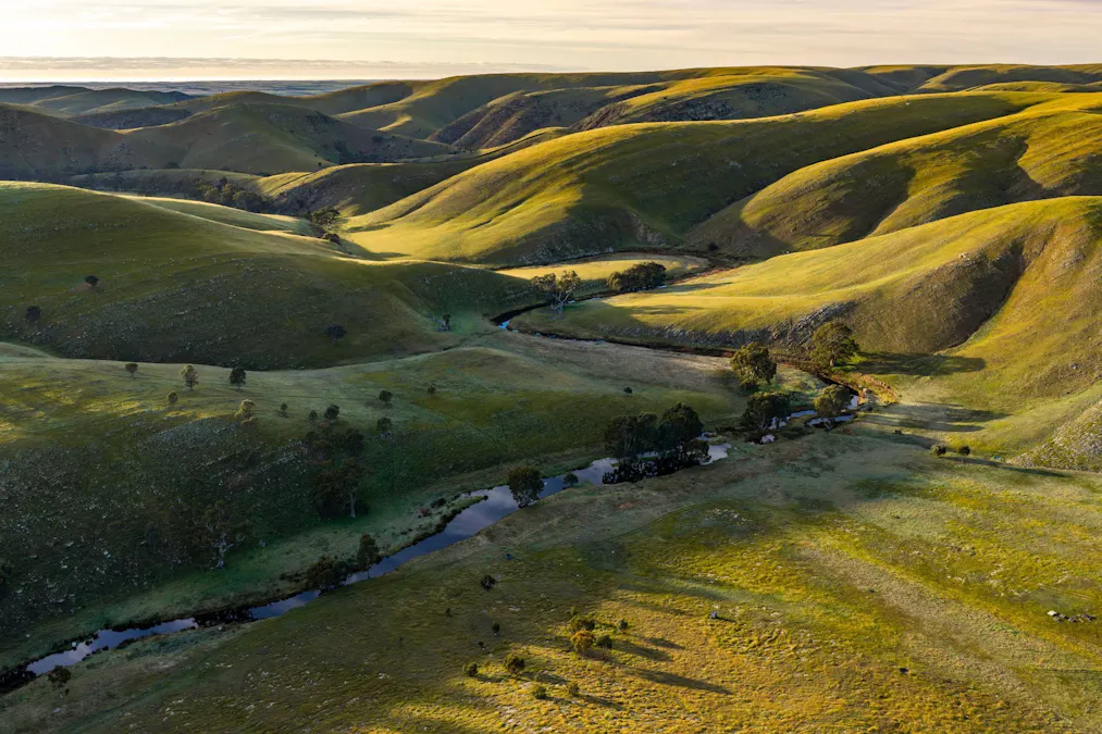 Forest Lane & Pumpas Hills , Sedan, SA, 5353 - Image 14