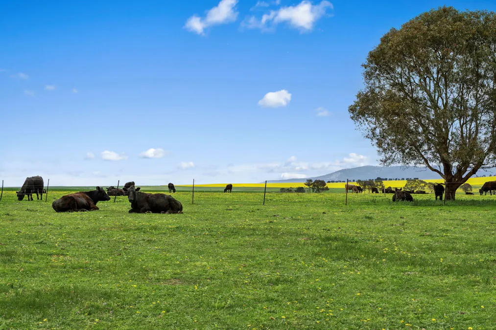 3077 Geelong Road, Cross Roads, VIC, 3373 - Image 2