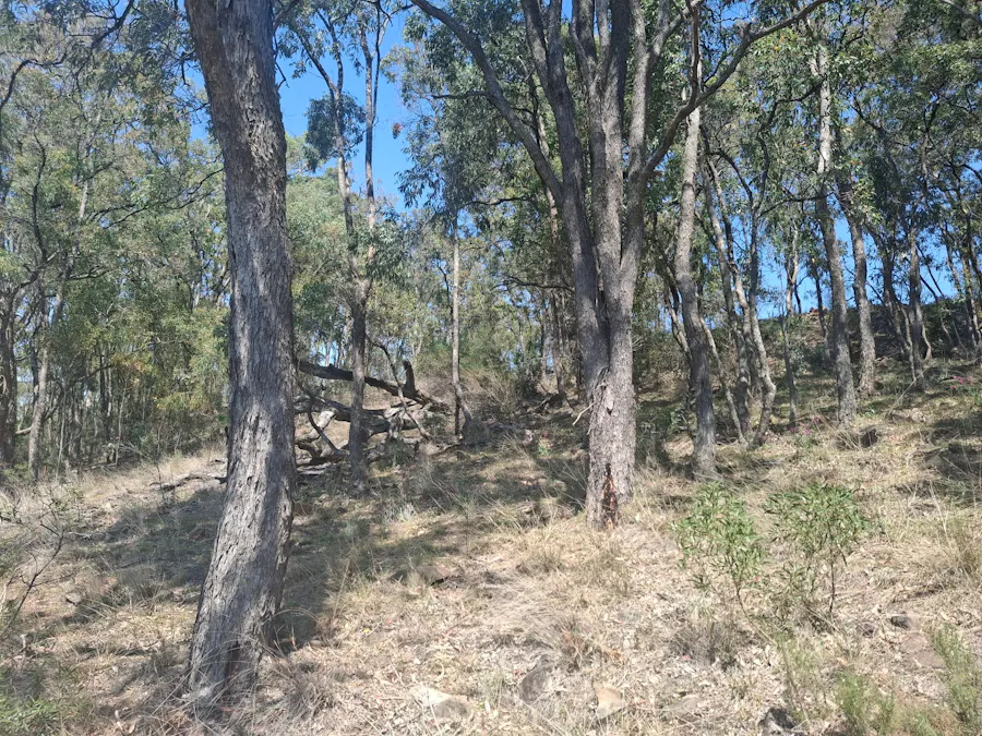 6/1765 PEMBROKE Road, Cassilis, NSW, 2329 - Image 3