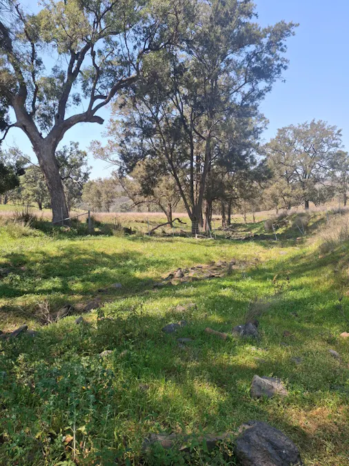 6/1765 PEMBROKE Road, Cassilis, NSW, 2329 - Image 8