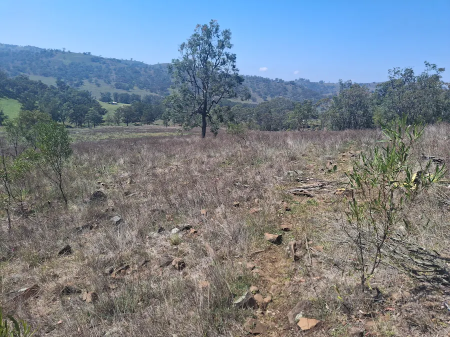 6/1765 PEMBROKE Road, Cassilis, NSW, 2329 - Image 18
