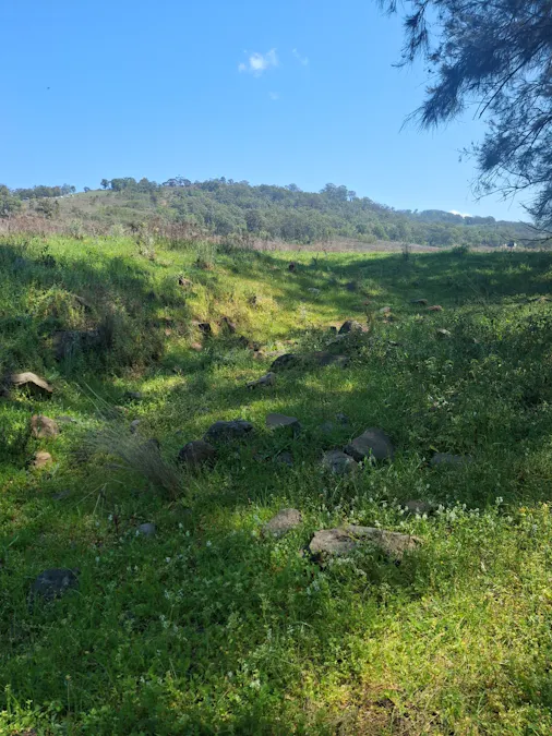 6/1765 PEMBROKE Road, Cassilis, NSW, 2329 - Image 5