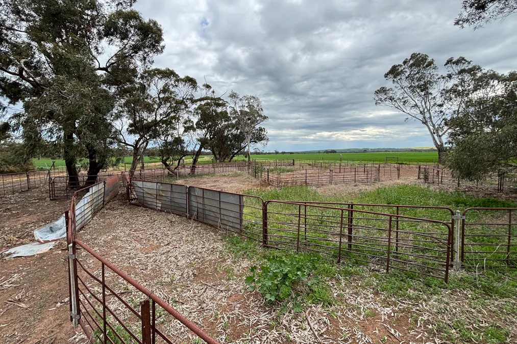 2902 Bratten Way, Cummins, SA, 5631 - Image 12