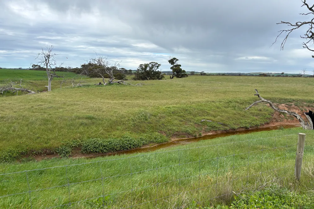 2902 Bratten Way, Cummins, SA, 5631 - Image 17