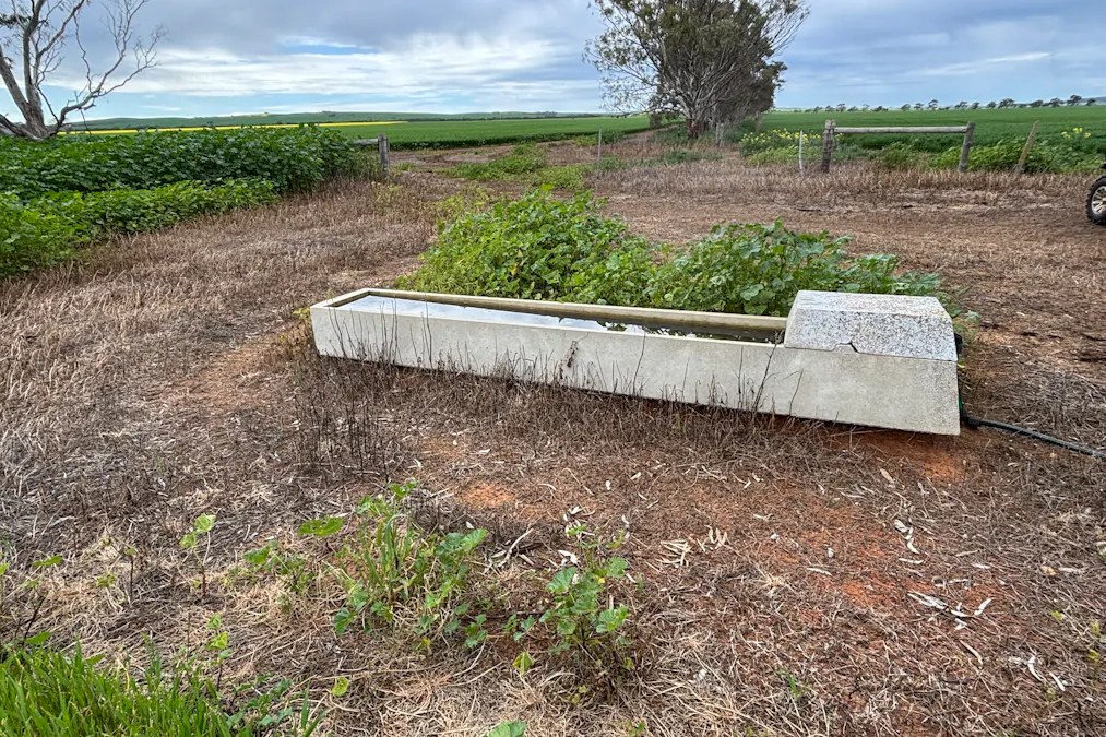 2902 Bratten Way, Cummins, SA, 5631 - Image 25