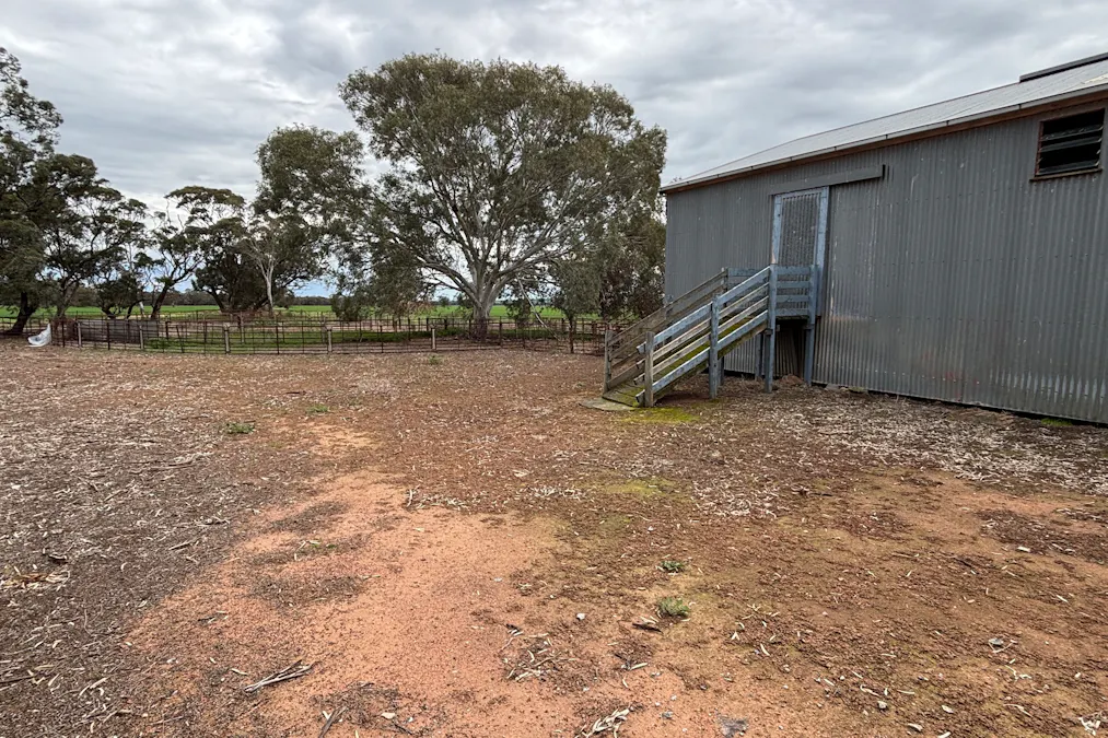 2902 Bratten Way, Cummins, SA, 5631 - Image 28